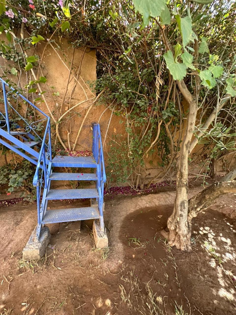 Villa Ms Holidays Mika Privatisee Marrakech Marrakesh Esterno foto