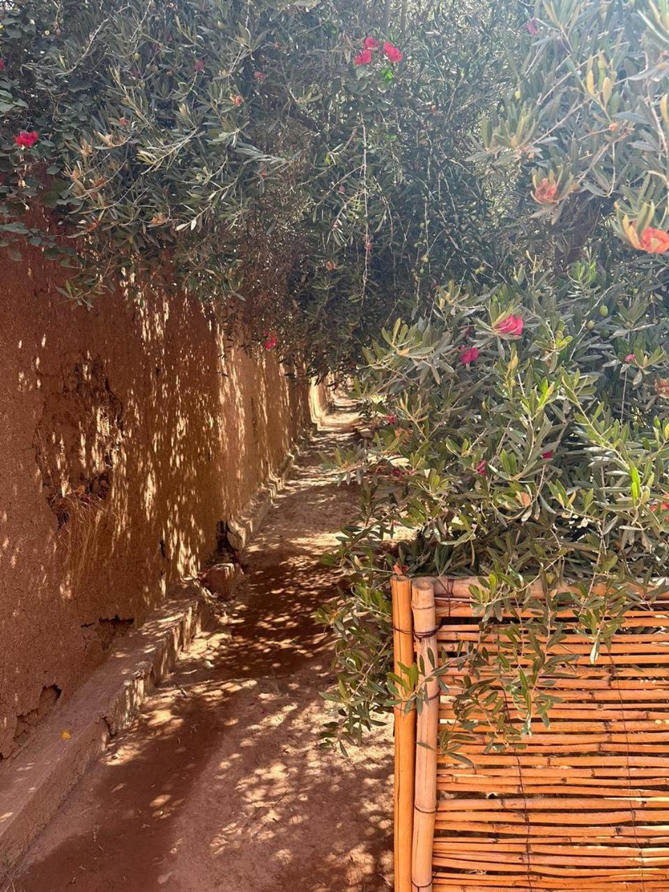 Villa Ms Holidays Mika Privatisee Marrakech Marrakesh Esterno foto