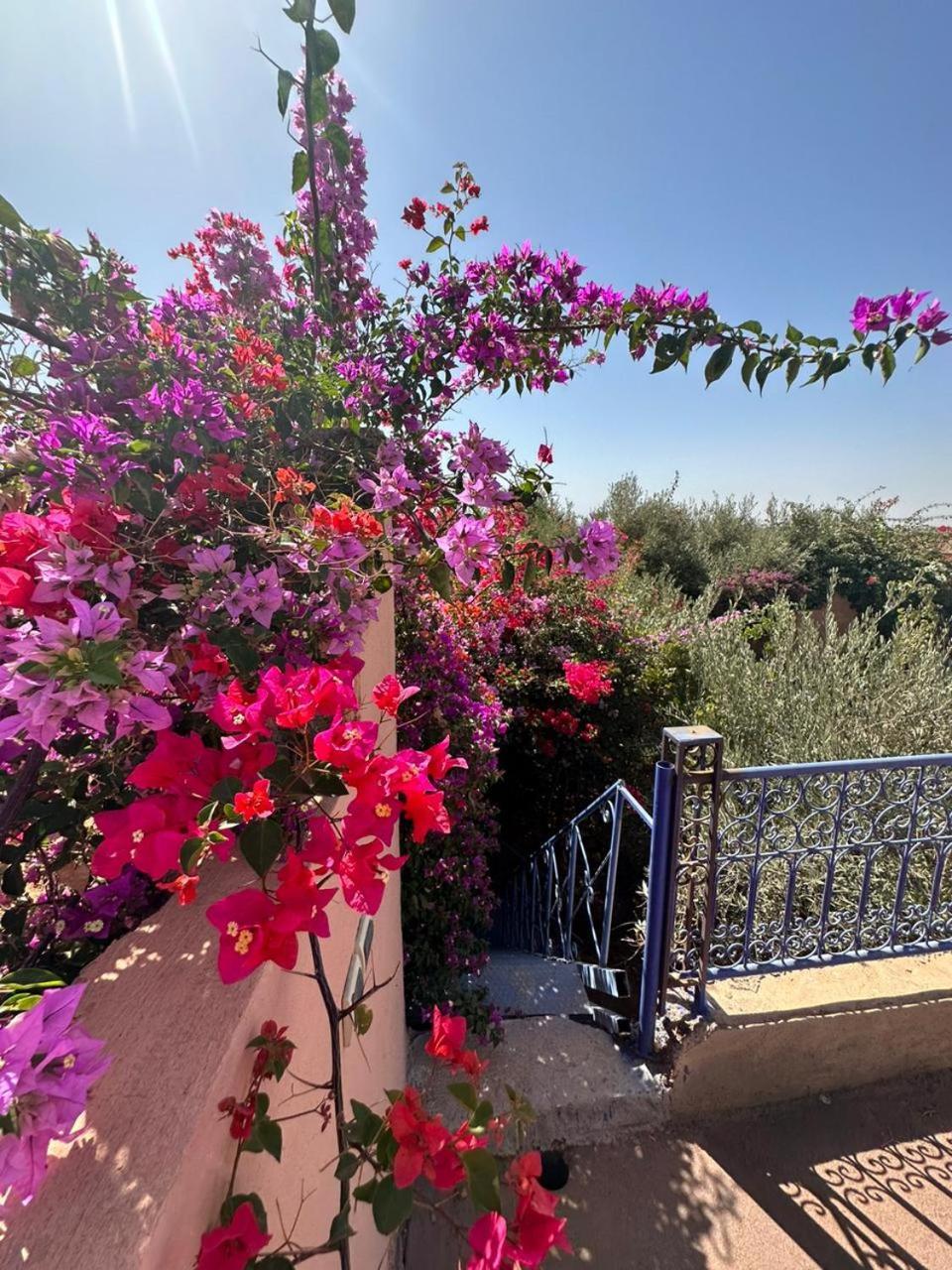 Villa Ms Holidays Mika Privatisee Marrakech Marrakesh Esterno foto